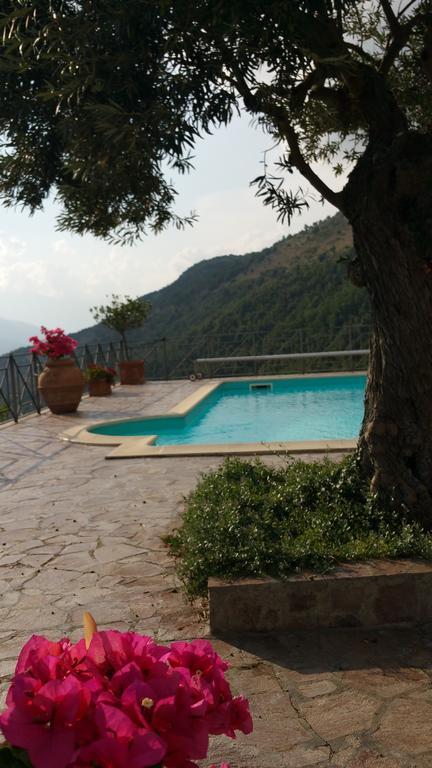 La Codarda Country House Pescosolido Dış mekan fotoğraf